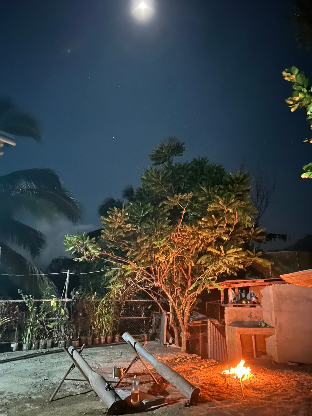 Stay Home, Save&nbsp;Lives