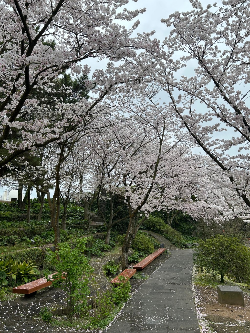 Jeju: My First Post-Pandemic International&nbsp;Travel